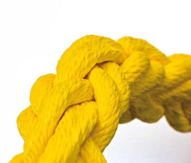 防生物附著纜繩