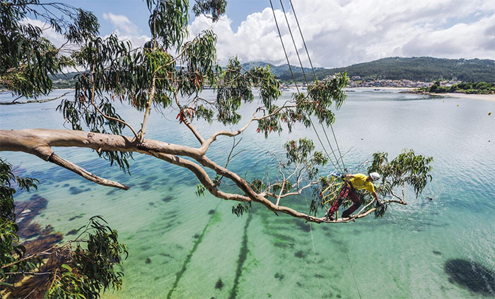 樹上作業(yè)安全繩索