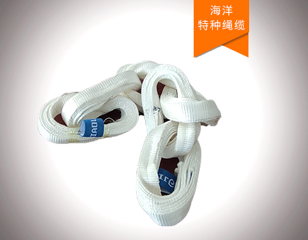 莫比烏斯環(huán)結(jié)構(gòu)超高分子量聚乙烯纖維鏈帶